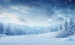 最新爆料六图雪地图片大全,冬日雪地美景，带你领略纯净自然之美”